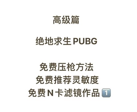 绝地求生stats什么意思