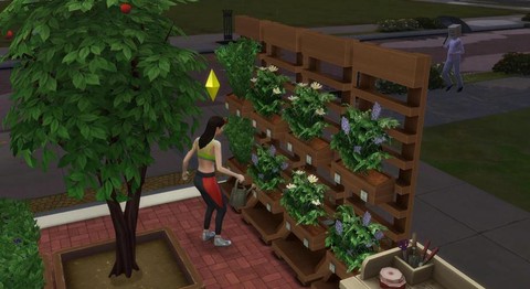 模拟人生4怎么种花